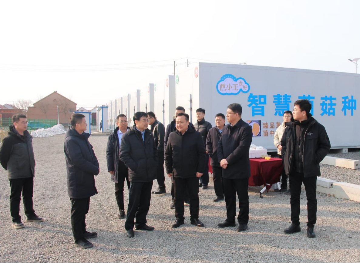 1737851605289.png 图片1.png